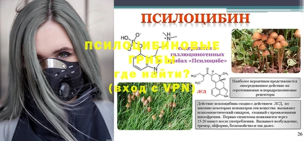 прущие грибы Алзамай