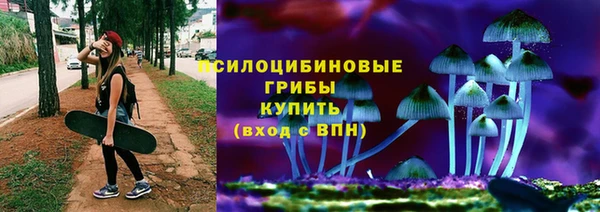 сатива Алексеевка