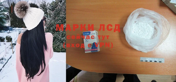 прущие грибы Алзамай