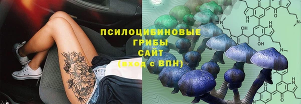 сатива Алексеевка
