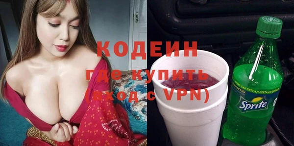 прущие грибы Алзамай