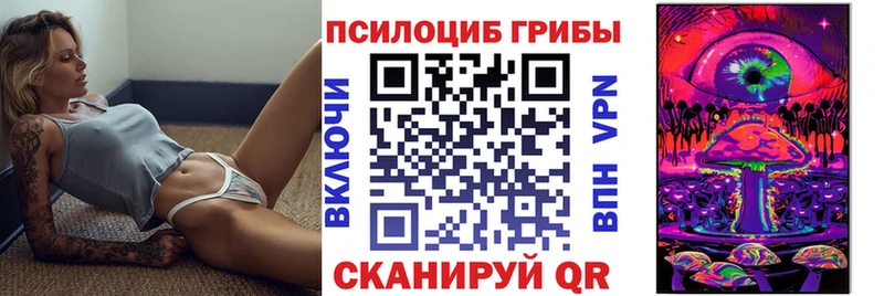 shop клад Коркино Псилоцибиновые грибы прущие грибы hydra ссылки